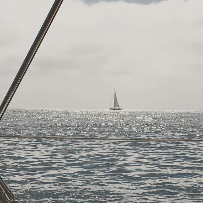 31969871_10211821446915289_5314311074273558528_n