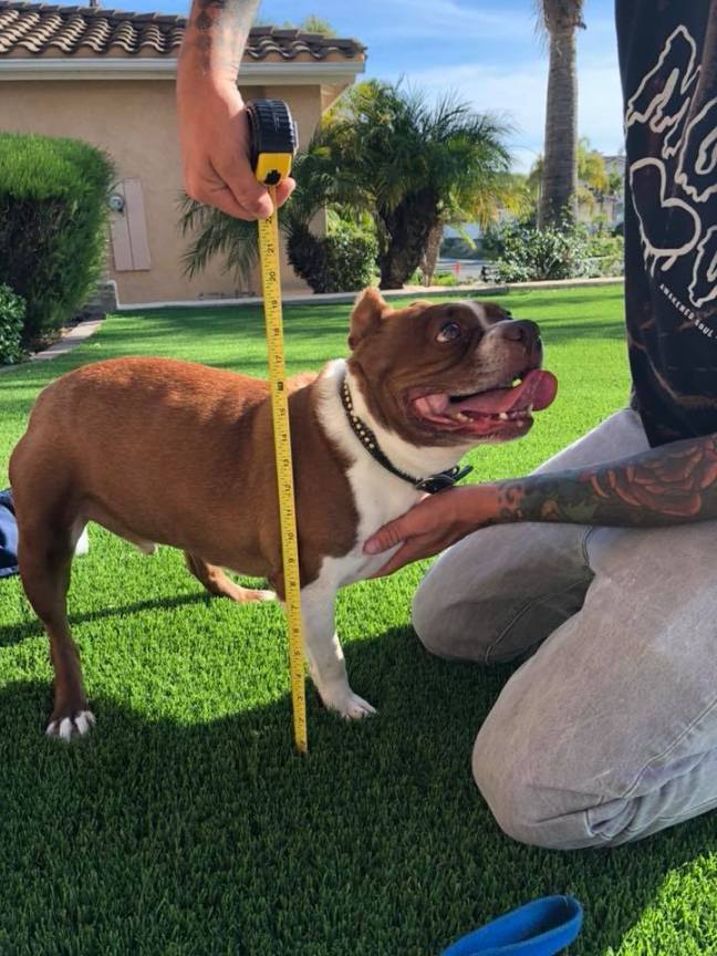 32089835_10211821030304874_8925503994609008640_n