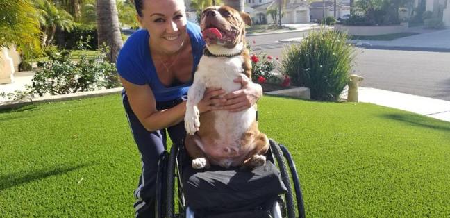 32105210_10211821216549530_7935502470829047808_n